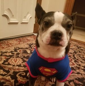 Meet your Posher, Cindy